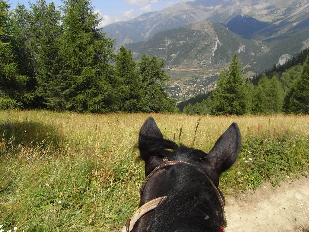 Gite Montagne Mercantour Villa Valdeblore Luaran gambar